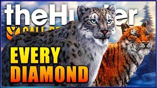 I Hunted All 10 New Diamonds on Sundarpatan! - theHunter Call of the Wild