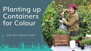 Planting up Containers for Colour with Ann-Marie Powell | PrimroseTV