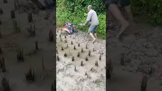 7HP mini power tiller work in paddy fields video