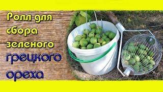 Домашний Ореховый Бизнес / Ролл для сбора зеленого ореха / Удаление околоплодника