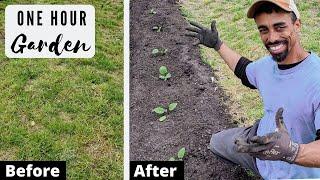 FASTEST way to start GROWING FOOD NOW | From GRASS to GARDEN in ONE HOUR