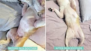 Natural Dog Company Skin Soother