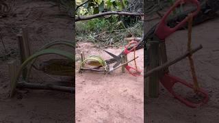 DIY Snake Trap using Scissors #creativesnaketrap #buildsnaketrap