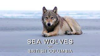 Sea Wolves of British Columbia