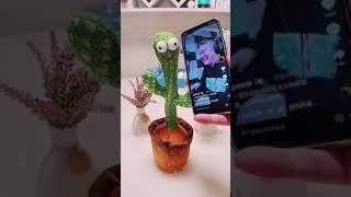 talk and dancing cactus sing for you!!! HAHAHAHAHAH SONG