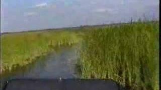 Air-Boat Ride, Big Cyprus Swamp, Florida, USA