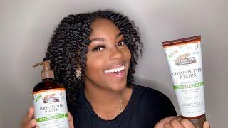 Braid out + Palmers Cocoa Butter & Biotin Length Retention Review!