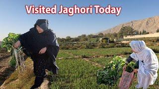 Jaghori in Hazara Town | Visited Jaghori bagh in Hazara Town, Quetta