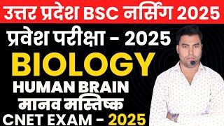 UP BSC NURSING ENTRANCE EXAM | ABVMU BSC NURSING ENTRANCE EXAM | UP BSC NURSING ENTRANCE EXAM |