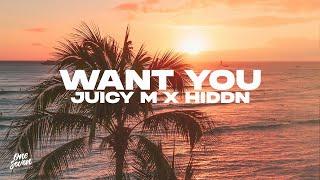 Juicy M x HIDDN - Want You