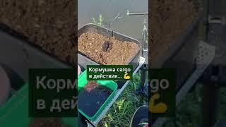 Кормушка для фидера СЕТКА #cargo #fishing  #рыбалка