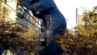 The Wilds of Denver : The Blue Bear