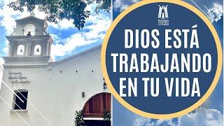 Homily Wednesday, April 2, 2025 - Parish of St. Mary of the Angels