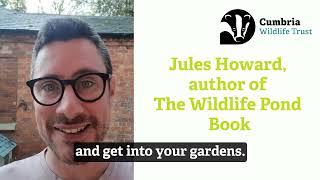 Jules Howard - Three tips for frogs in your garden