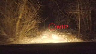 Night drive in creepy forest