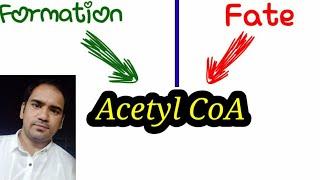 Acetyl CoA : Formation and Fate (utilisation) of Acetyl CoA || Role of acetyl CoA in metabolism