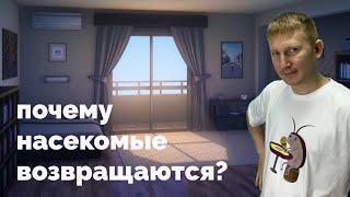 На какой срок ПРОПАДАЮТ насекомые после обработки?