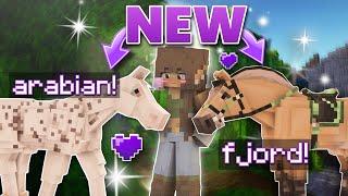 *NEW* SWEM MODELS || Fjords, Arabians, and Cobs [MC EQUESTRIAN]