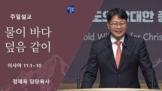 [일요주일 2부예배] 물이 바다 덮음 같이 (이사야 11:1-10)│정재욱 목사│2024.12.15 (일)