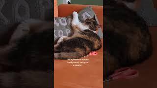 Видео с уютными МК на моём канале #diy #своимируками