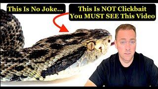 They're Using DEADLY Snake Venom in Your Blood Pressure Medicine! 