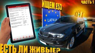 Что не так с BMW X5 E53 в 2022? Ищем живой E53 по Латвии