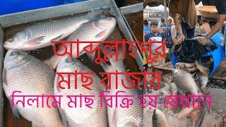 Abdullahpur Fish Market, Dhaka,  Best place to buy fish in Dhaka #fish #fishmarket