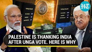 India Stuns Israel-U.S. At UN General Assembly; Palestine Thanks New Delhi | Gaza War