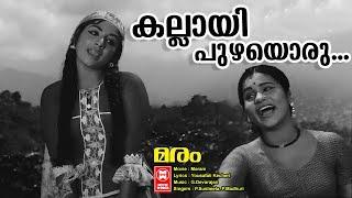 Kallayi Puzhayoru Manavatti| Maram (1973)| G Devarajan| P Susheela| P Madhuri |Malayalam old song