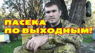 Трейлер канала ПАСЕКА ПО ВЫХОДНЫМ!