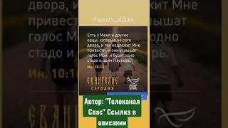️ЕВАНГЕЛИЕ ДНЯ (26 НОЯБРЯ) #спас #телеканалспас #shorts #шортс #вераправославная #евангелие