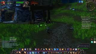 Classic WoW 1-60 Mage World PvP and AoE Leveling