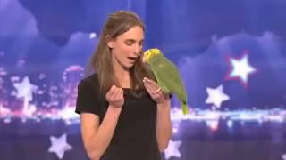 America’s Got Talent: Parrot singing over the rainbow