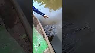 gila!!Pemancing Beruntung Di Dunia Bisa Naikan Udang Monster ini #shorts