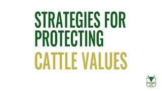 Protecting High Prices in Feeder Cattle