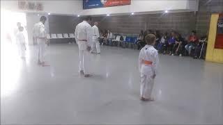 Katas , Karaté Goju Ryu ( APOGK)