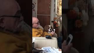 Huxley with grandad watching the TV