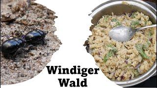 Kochen im windingen Wald | Natürlich draußen #2