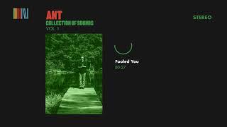 Ant - Fooled You (Official Audio)