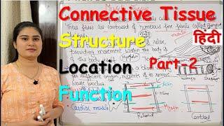 Connective Tissue in Hindi | Part-2 | Structure | Locations | Types | Functions