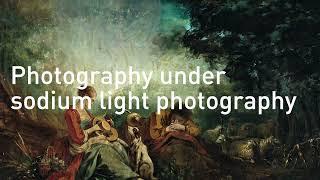 Activity of I.A.C.C : restauration and scientific analyses of work of art, conditional reports, etc
