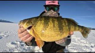 Top 10 Best Lakes in Idaho for Ice Fishing