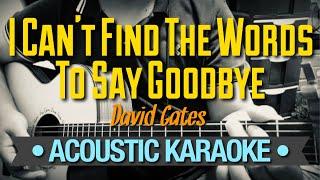 I Can't Find The Words To Say Goodbye - David Gates (Acoustic Karaoke)