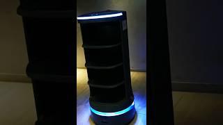 Just a Hotel "staff" Robot Using the Staff Door. Totally Normal... in Asia