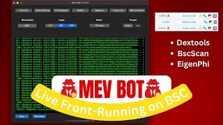 MEV Bot for Binance Smart Chain - Total Profit in the Last 60 days.