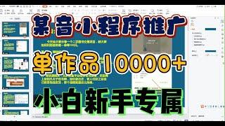 某音小程序推广副业测评，单作品最高可达10000+ 小白新手专属可做！