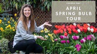 What's blooming in April  | April GARDEN TOUR (so many Tulips, & Daffodils!)