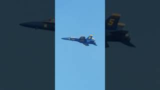 BLUE ANGEL 5