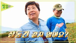 강남에서 부동산 일을 하다 귀촌한 부부의 사연은? [2TV 생생정보] KBS 230626 방송