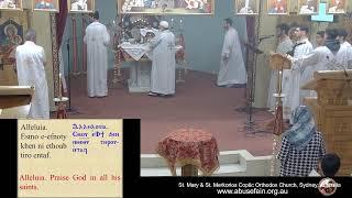 Sunday Holy Liturgy 07/07/2024 (English)